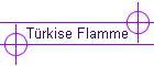 Trkise Flamme