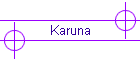 Karuna